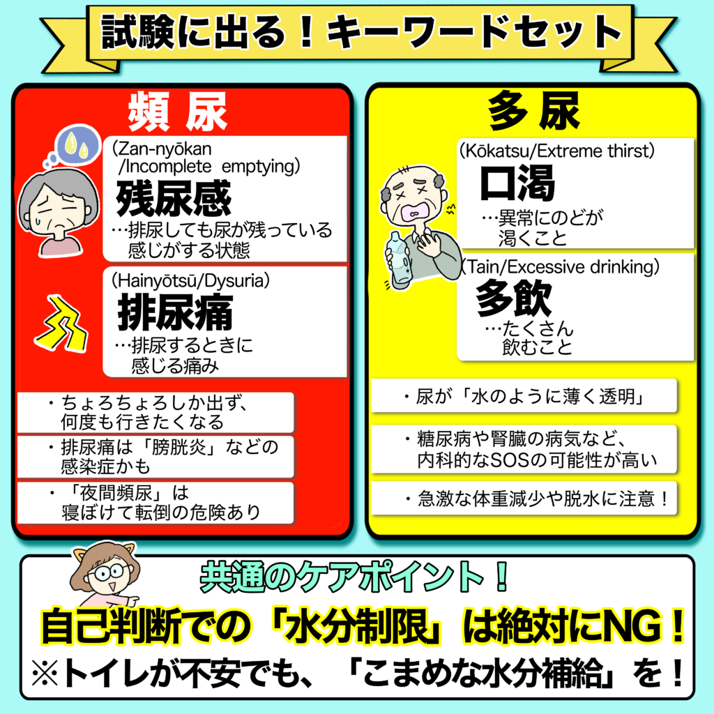 試験に出るキーワードセットの解説画像。左側の赤枠に「頻尿」のキーワード（残尿感、排尿痛）と注意点、右側の黄色枠に「多尿」のキーワード（口渇、多飲）と注意点が比較してまとめられています。下部には共通のケアポイント「自己判断での水分制限は絶対にNG！」と記載されています。