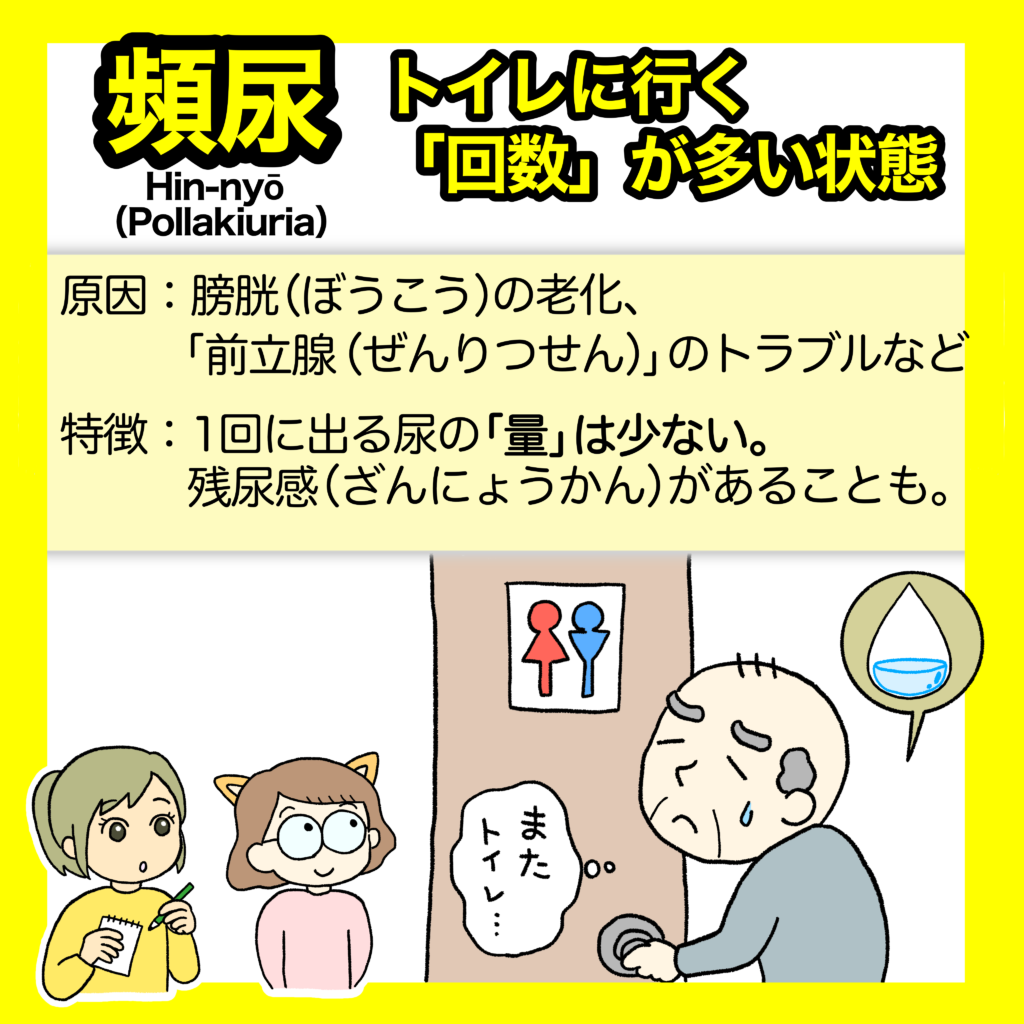 頻尿の解説画像。トイレのドアの前で困っているお年寄りと少量の尿のイラスト。「トイレに行く『回数』が多い状態」というタイトルと、原因（膀胱の老化など）や特徴（1回の尿量が少なく残尿感があること）がテキストで説明されています。
