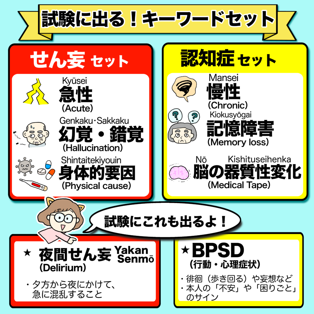 せん妄と認知症の試験によく出るキーワード比較表。せん妄は急性・幻覚・身体的要因、認知症は慢性・記憶障害・脳の器質的変化。さらに夜間せん妄とBPSDについても解説しています。
